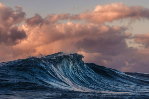 The Prophet's anguish